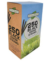 Eco-Craze - 8