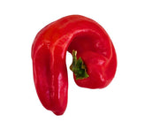 Fresh - Pepper Shepperd (RED)
