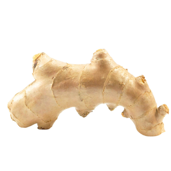 Fresh - Ginger