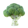 Fresh- Brocolli Crown
