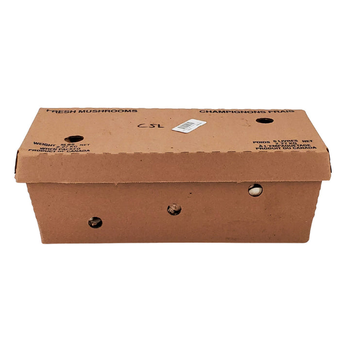 Fresh - Brown Sliced Mushroom