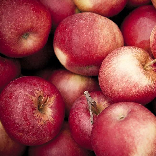 Fresh - Apple - Pink Lady Cripps