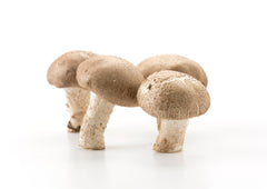 Fresh - Mushrooms - Whole