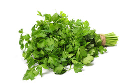 Fresh - Coriander / Cilantro