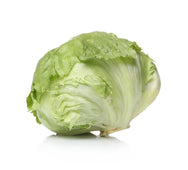 Fresh - Cabbage - Green