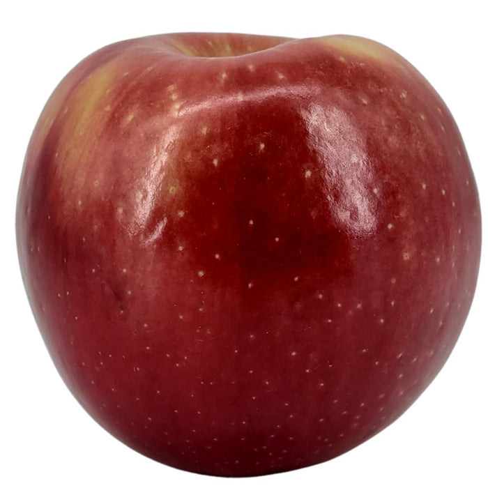 Fresh - Apple Cosmic Crisp