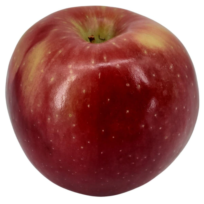 Fresh - Apple Cosmic Crisp