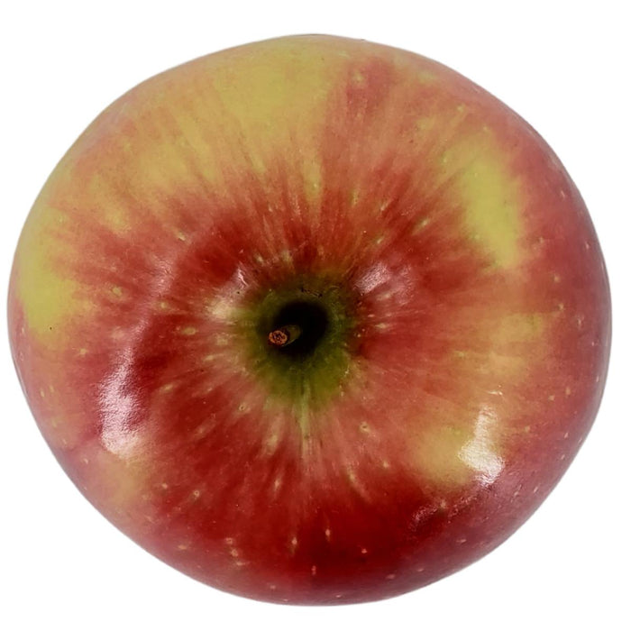 Fresh - Apple Cosmic Crisp