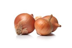 Fresh - Onion - White