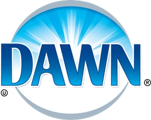 Dawn