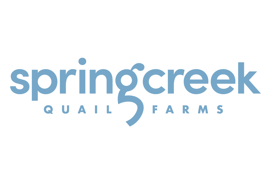 Spring Creek