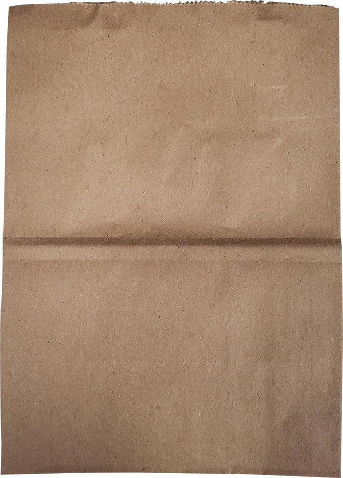 Eco-Craze - Kraft Paper Flat Handle Bag - 8x5x11