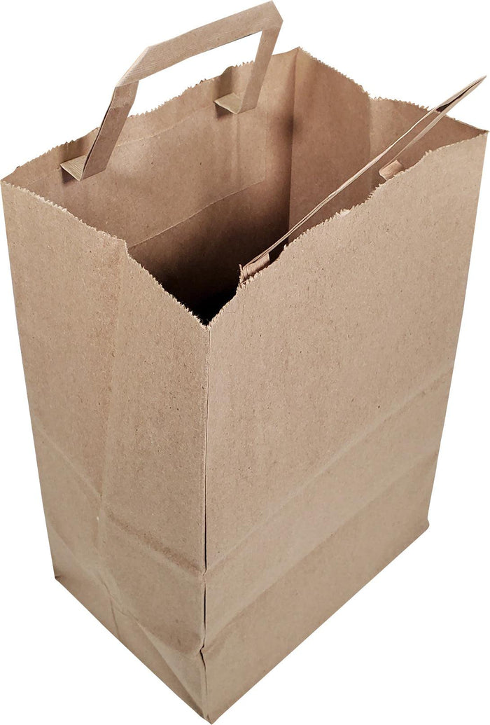 Eco-Craze - Kraft Paper Flat Handle Bag - 8x5x11