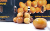 CLR - Barhi - Dates - Fresh