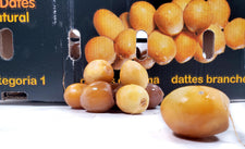 CLR - Barhi - Dates - Fresh