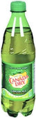 Canada Dry - Gingerale - PET