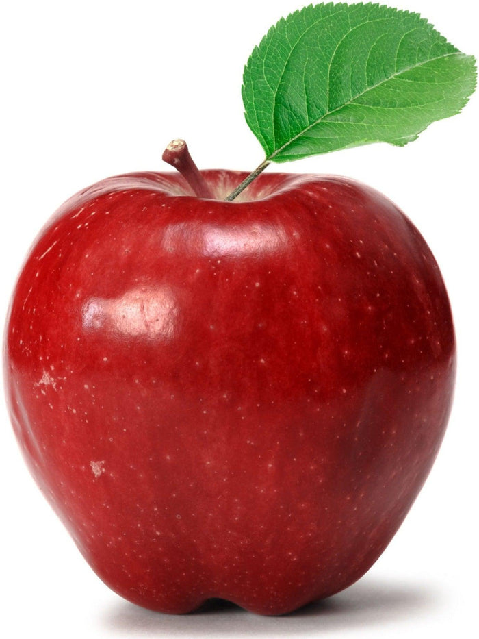 Fresh - Apple - Red Delicious