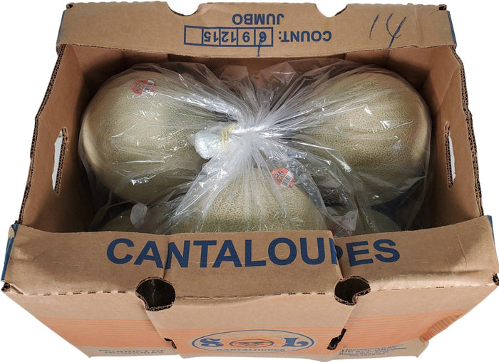 Fresh - Cantalope - Jumbo