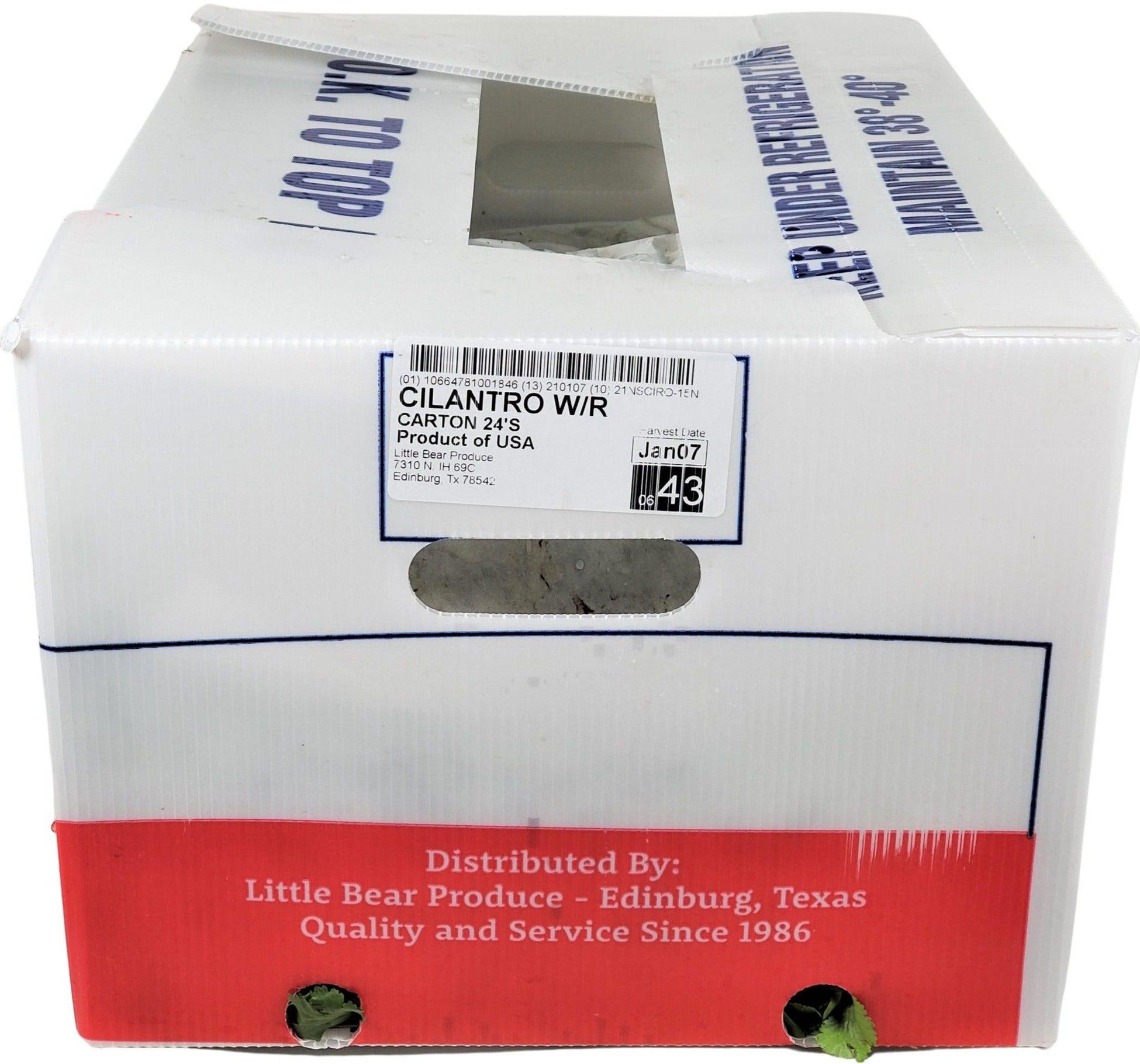 Buy Fresh Coriander Cilantro Box At Best Online Prices & Get Delivery