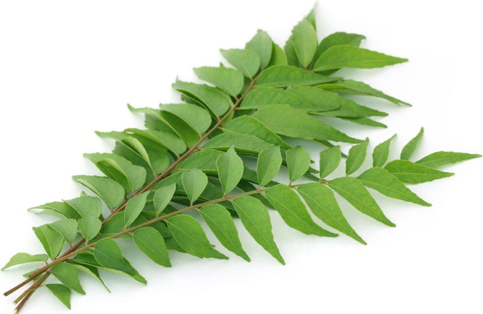 Fresh - Curry Leaves