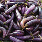 Fresh - Eggplant - Large