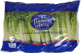 Fresh - Lettace - Romaine Hearts