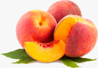 XXX - Fresh - Nectarine