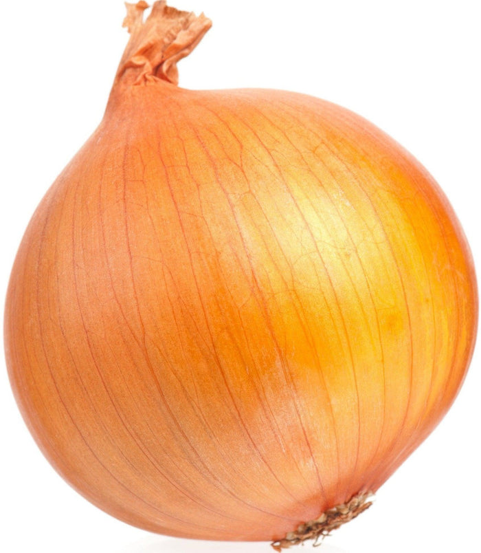 Fresh - Onion - Cooking