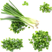 Fresh - Onion - Green