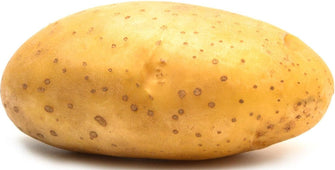 Fresh - Potato - Medium
