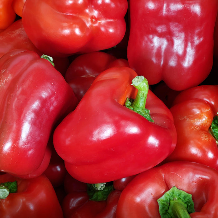 Fresh - Red Bell Peppers