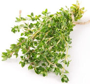 Fresh - Thyme Green