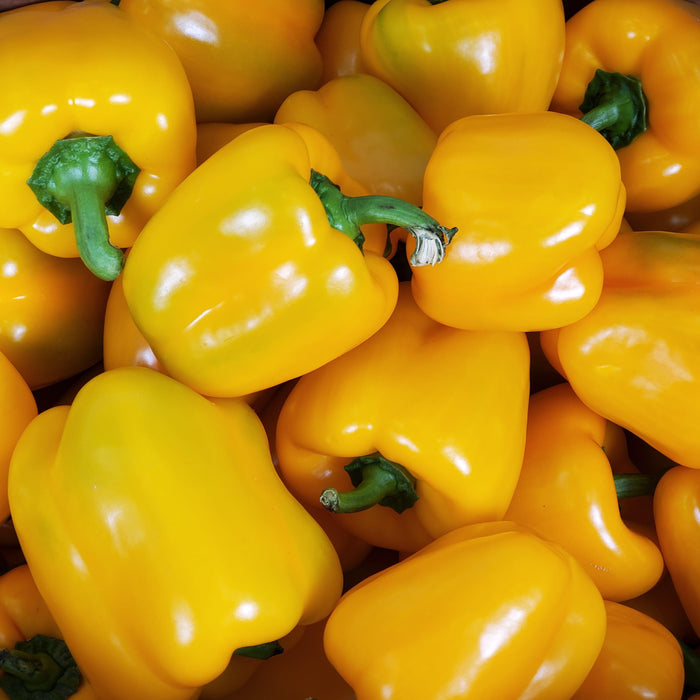 Yellow Bell Peppers - Organic – Suji Fresh