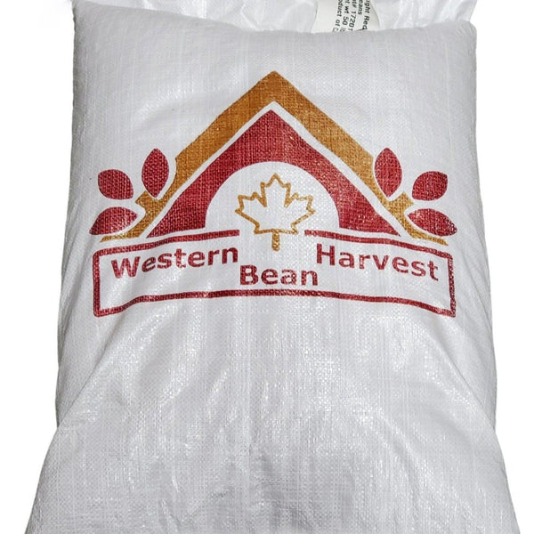 Kidney bean on sale shaped pillow