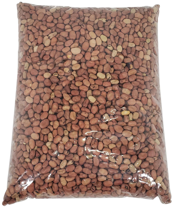 Nupak - Fava Beans - Large 13/15