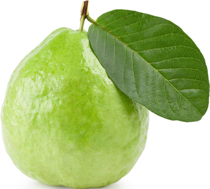 Fresh - Guava