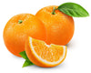 Fresh - Oranges - Size 20