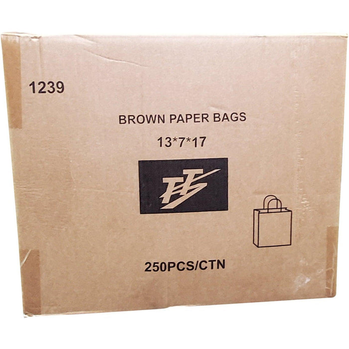 Eco Craze 13x7x17 Kraft Paper Bag Twisted Handle