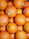 Fresh - Orange Sunkist Navel Size 40