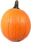 Pumpkin Halloween - Large Pumpkin Halloween - Large
