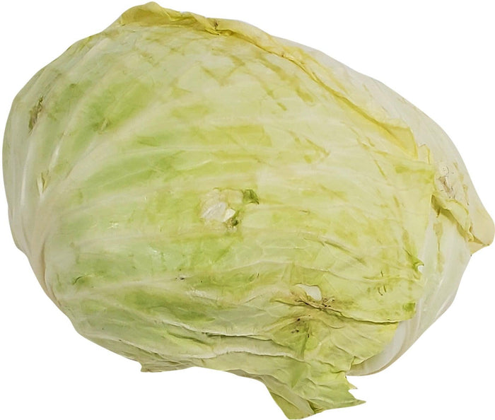 Fresh - Cabbage - Flat