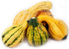 XXX - Pumpkin Halloween - Assorted