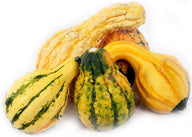 XXX - Pumpkin Halloween - Assorted