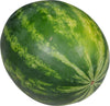 Fresh - Watermelon - Mini