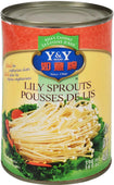 Y&Y Lily Sprout