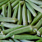 Fresh - Okra - Indian