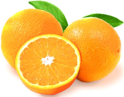 Fresh - Oranges - Naval - Size 48