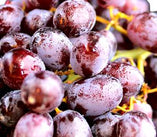 Fresh - Black Seedless Grapes 4056 2 Lbs